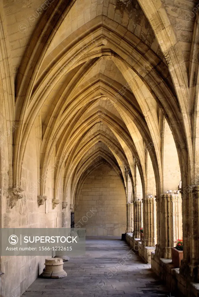 France, Herault, Beziers, St Nazaire Cathedral, The cloister