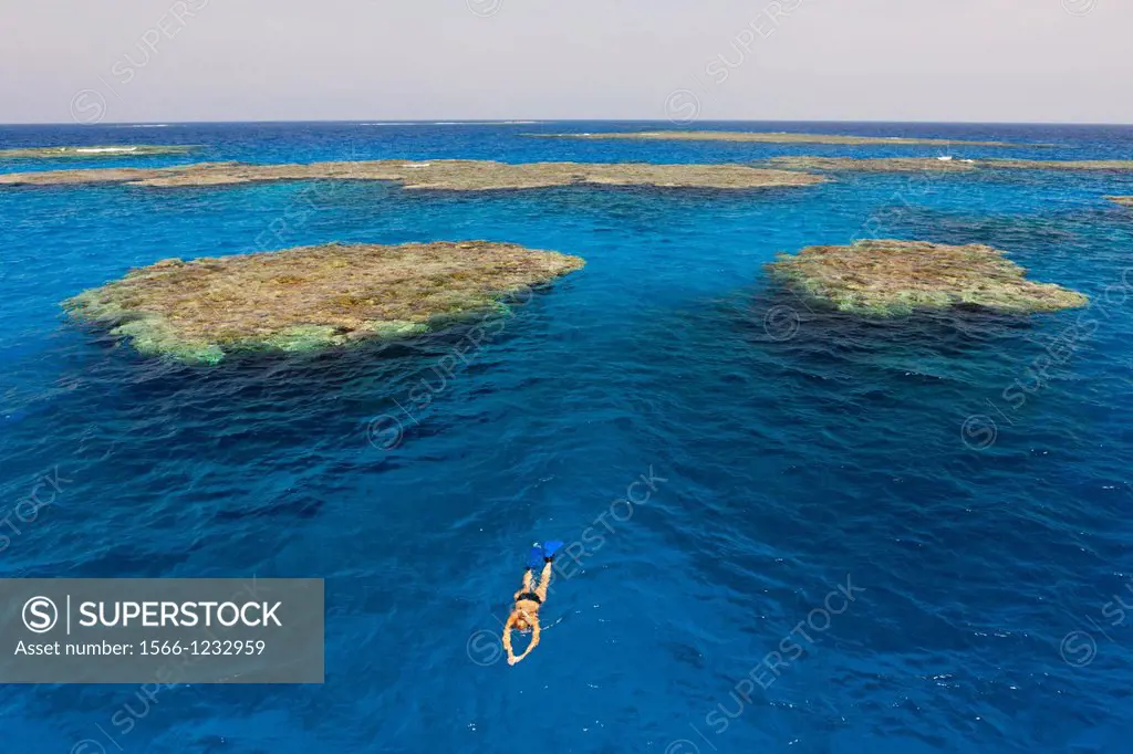 Reefs of Zabargad Island, Red Sea, Egypt