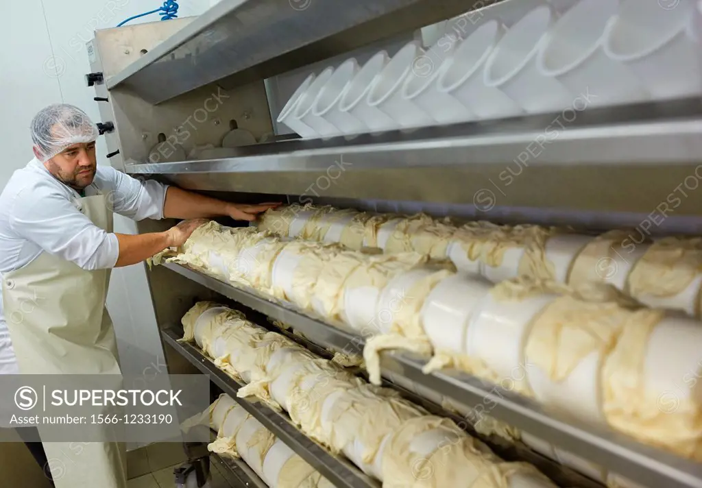 Making cheese from sheep´s milk Latxa  Designation of origin ´Idiazabal´  Cheese factory  Gomiztegi Baserria, Arantzazu, Oñati, Gipuzkoa, Basque Count...