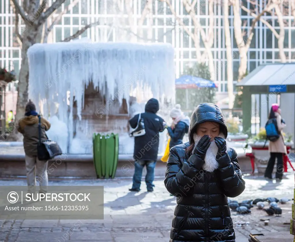 Visitors to Bryant Park in New York stop at the Josephine Shaw Lowell Memorial Fountain which has become a cold weather ice sculpture.