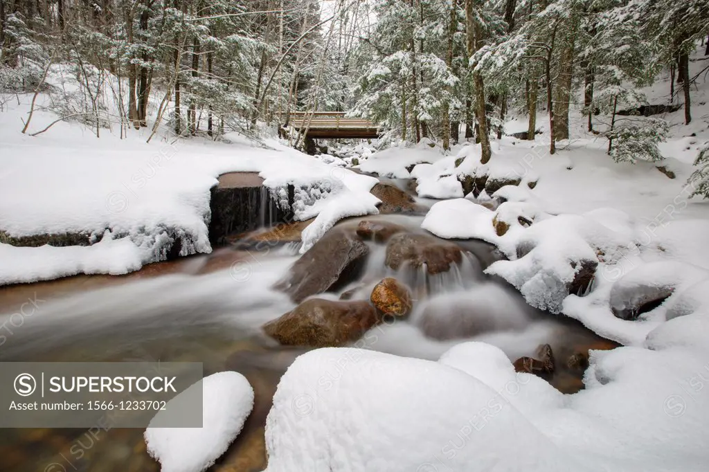 Franconia Notch State Park - Flume Brook in Flume Gorge in the White Mountains, New Hampshire USA