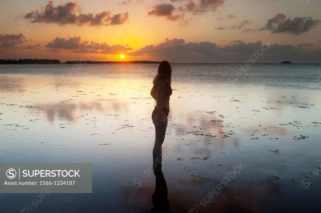 Woman on the coastline, silhouette against the sunset sky, Key Largo, Florida, USA