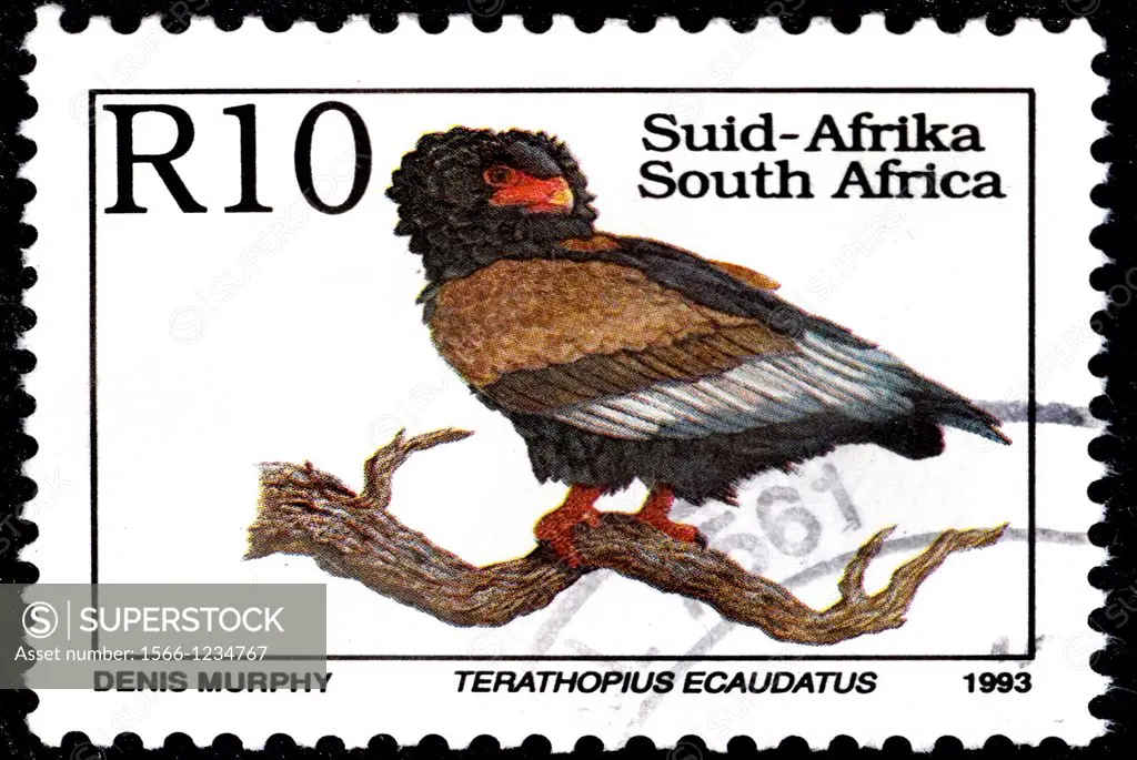 Bateleur, Terathopius ecaudatus, Águila Volatinera, Animal Stamps, South Africa