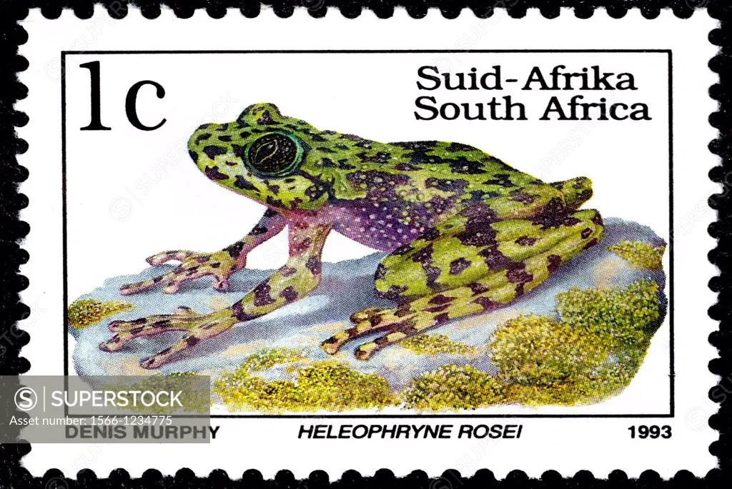 Heleophryne rosei, Animal Stamps, South Africa