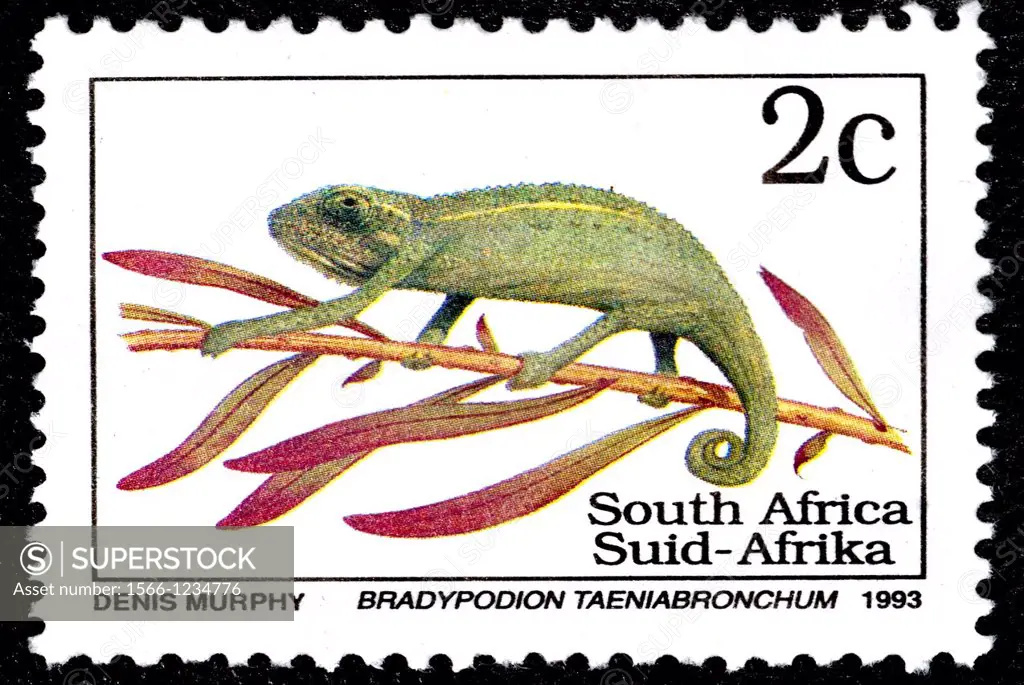 Bradypodion taeniabronchum, Animal Stamps, South Africa