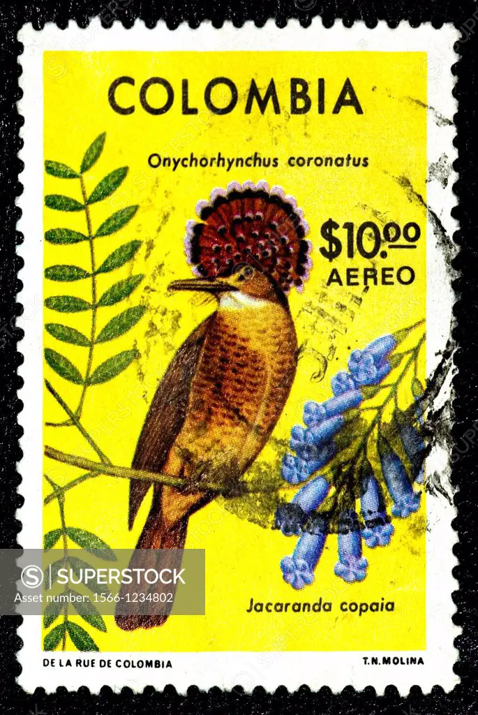 Royal Flycatcher, Onychorhynchus coronatus, Mosquero Real, Animal Stamps, Colombia