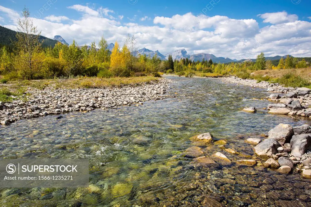 Clear clean Cat Creek in Kananaskis Country in Alberta Canada