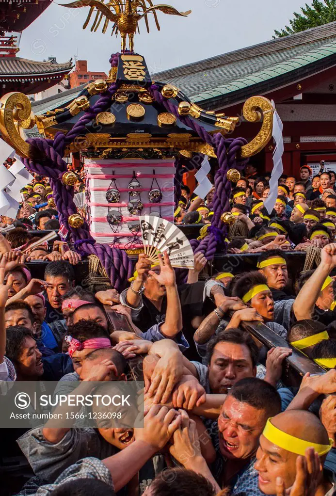 Sanja Matsuri Festival, Sensoji Temple, Asakusa Jinja, Asakusa, Tokyo, Japan, Asia