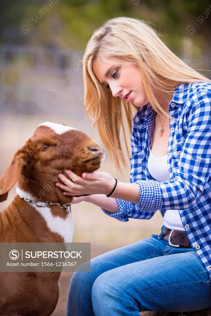 Female teenager petting a goat on a livestock farm in Texas.