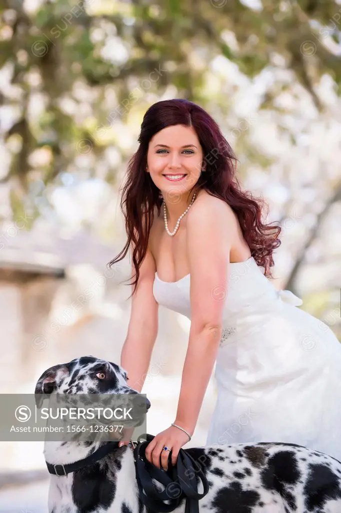 Bridal portrait - A young bride in wedding dress posing with a black and white Great Dane dog, Concan, Texas, USA, Female Caucasian, 23 years old