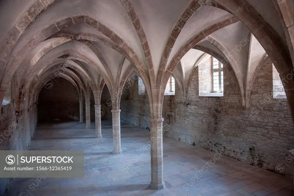 ancienne Abbaye de Cluny, France.
