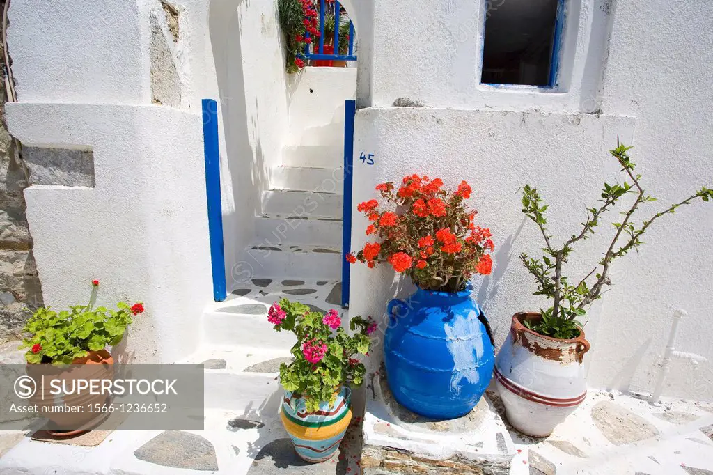 greece, cyclades, amorgos: Tholaria village, house with flowers