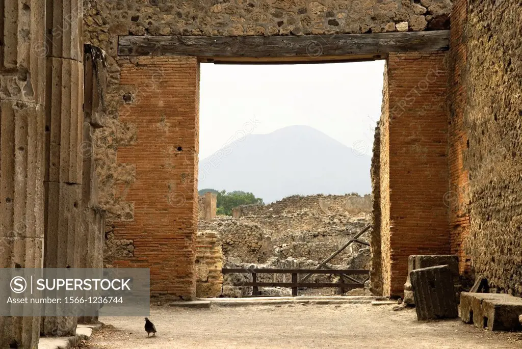 entrance of the Triangular Forum, archeological site of Pompeii, province of Naples, Campania region, southern Italy, Europe