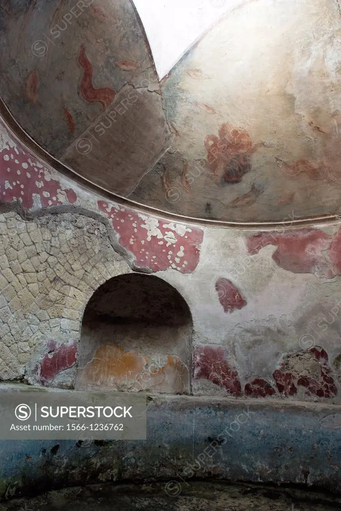 Frigidarium, cold bathroom inside the Thermae for men, archeological site of Herculaneum, Pompeii, province of Naples, Campania region, southern Italy...