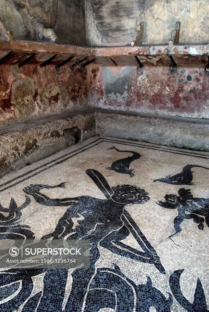 Opus tessellatum floor mosaic, depicting Triton, inside the women´s changing-room of the Thermae, archeological site of Herculaneum, Pompeii, province...