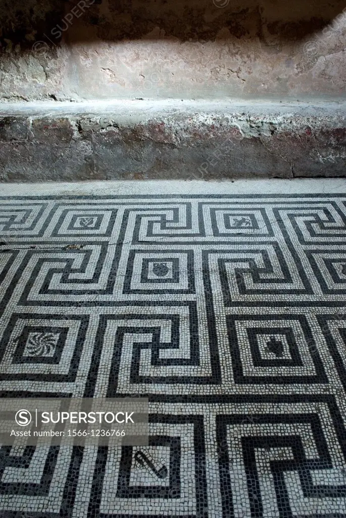 Opus tessellatum floor mosaic inside the Thermae, archeological site of Herculaneum, Pompeii, province of Naples, Campania region, southern Italy, Eur...