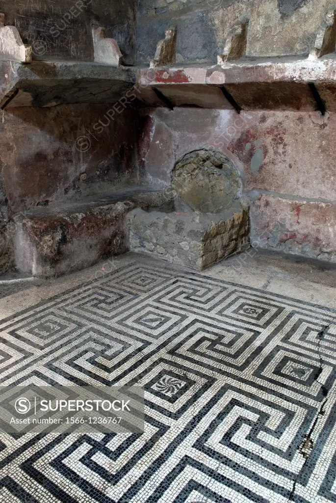 Opus tessellatum floor mosaic inside the Thermae, archeological site of Herculaneum, Pompeii, province of Naples, Campania region, southern Italy, Eur...