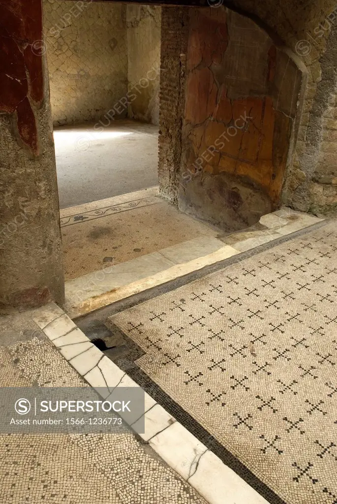 Casa del Bel Cortile, House of the Beautiful Courtyard, archeological site of Herculaneum, Pompeii, province of Naples, Campania region, southern Ital...