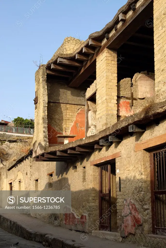 the best preserved example of a shop in the region, connecting to the House of Neptune and Amphitrite, archeological site of Herculaneum, Pompeii, pro...