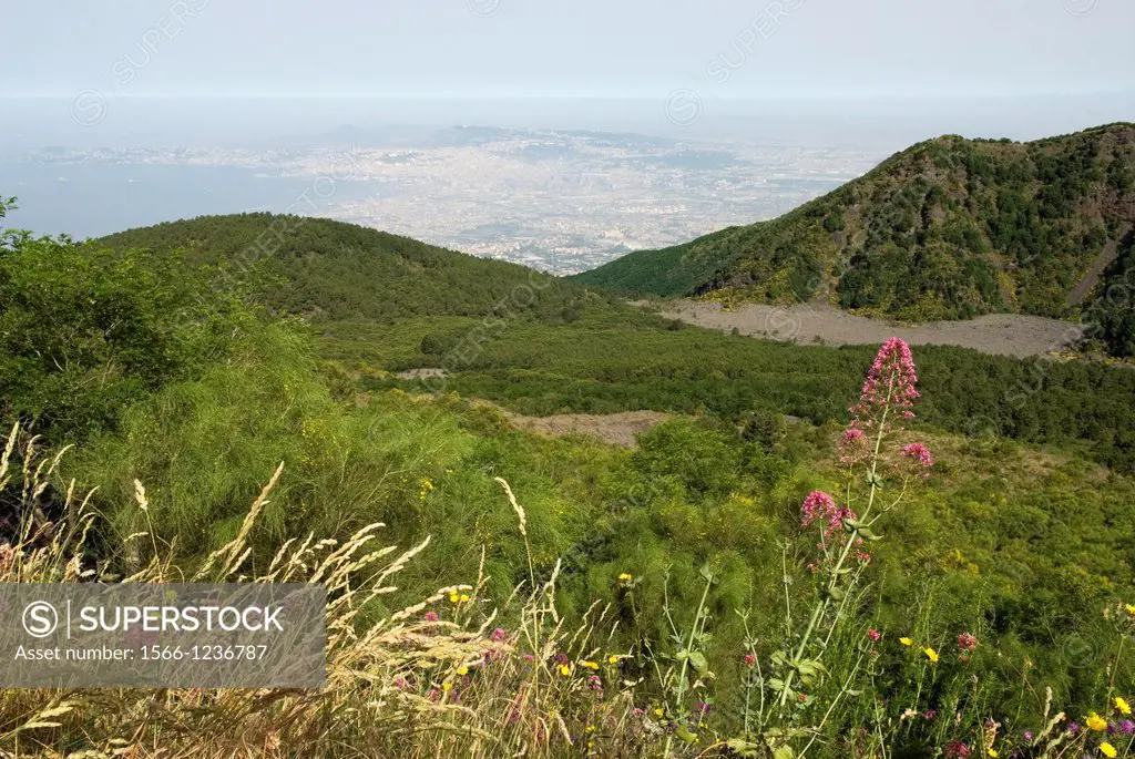 view over the Gulf of Naples from the top of Mount Vesuvius, Campania region, southern Italy, Europe