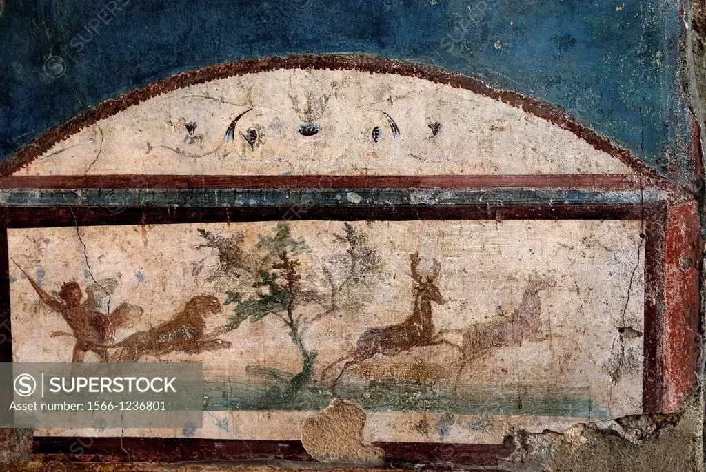 House of the Wild Boar also known as the House of the Ancient Hunt, archeological site of Pompeii, province of Naples, Campania region, southern Italy...