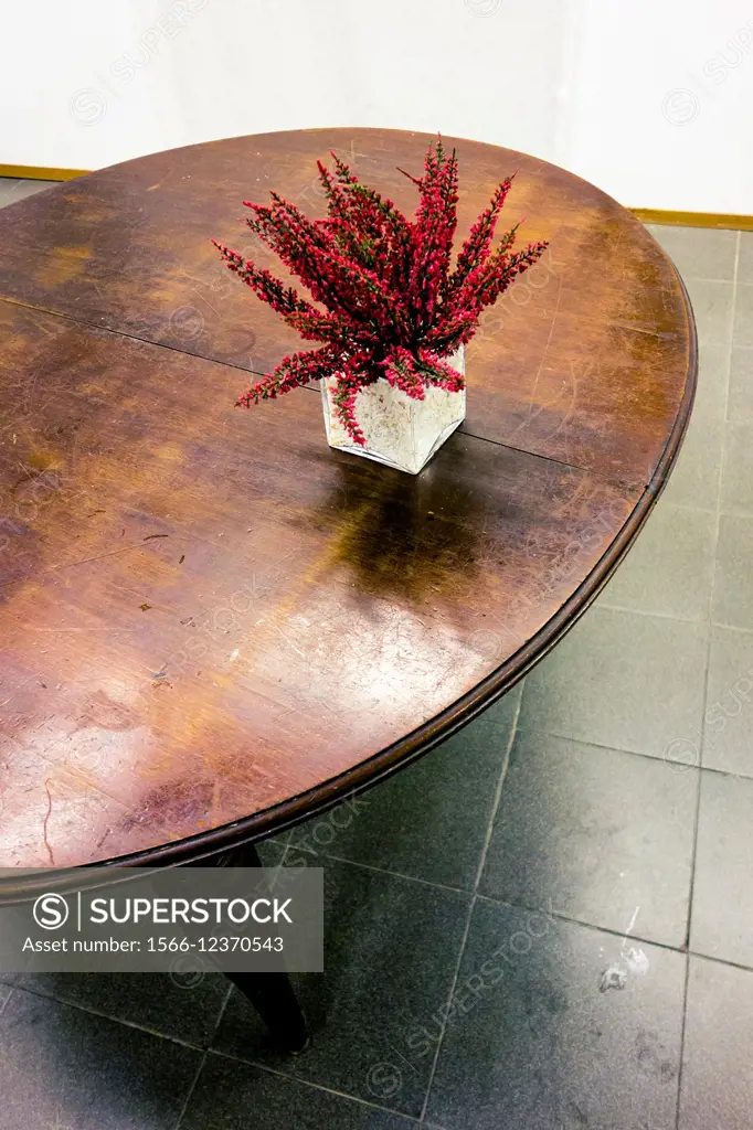 Table with vase in a specialized photo gallery Valencia, Spain