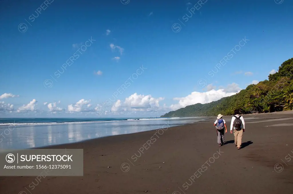 young male European traveller with local tourist guide, wild coast of the Pacific Ocean, Corcovado National Park, Costa Rica,.