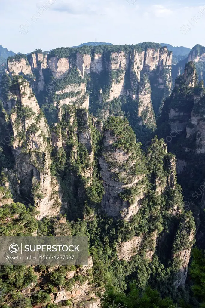 China, Hunan Province, Zhangjiajie National Forest Park UNESCO World Heritage Site, Hallrlujah Mountains Floating Mountains, Avatar site, afternoon