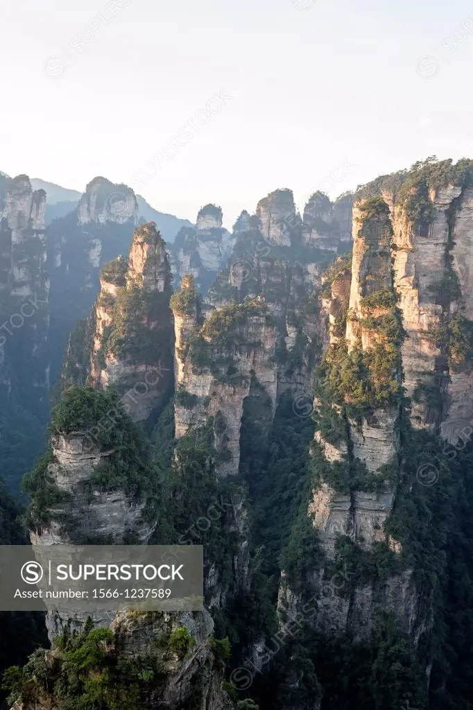 China, Hunan Province, Zhangjiajie National Forest Park UNESCO World Heritage Site, Hallrlujah Mountains Floating Mountains, Avatar site, morning
