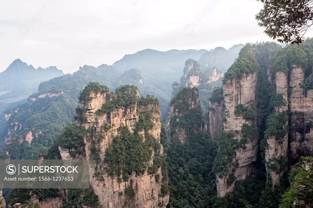 China, Hunan Province, Zhangjiajie National Forest UNESCO World Heritage Site, Yellow Stone Village Mountain