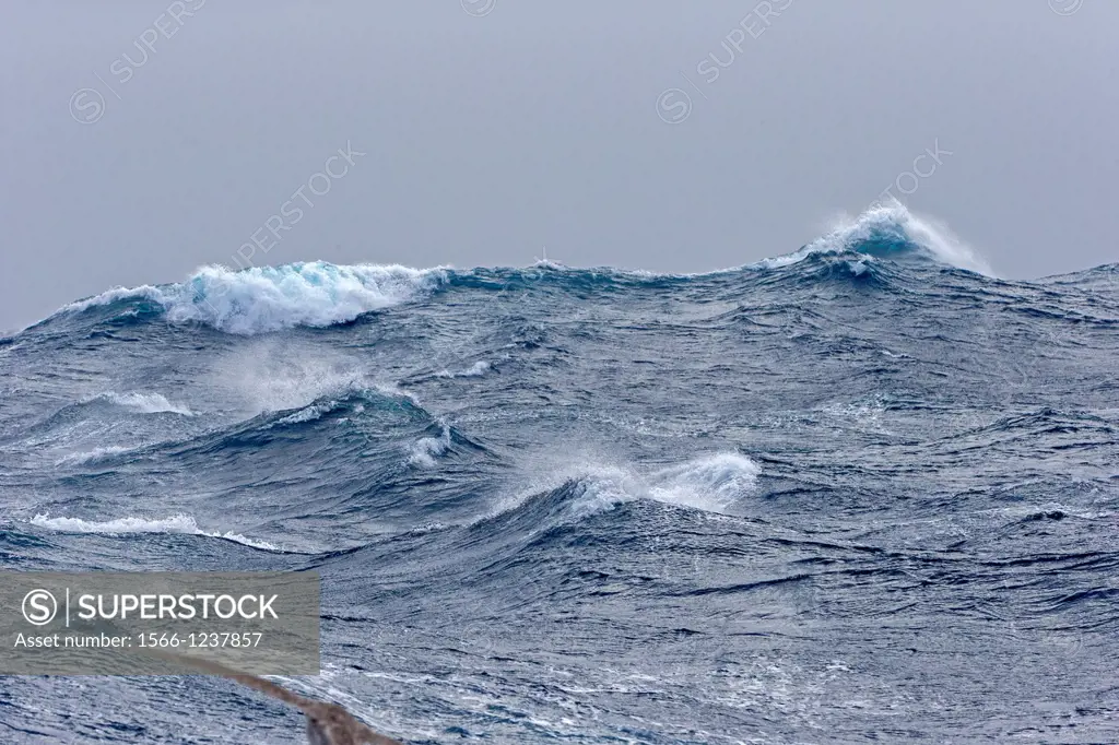 Antarctic, Ocean between Falklands Islands and South Georgia, South Georgia, Waves