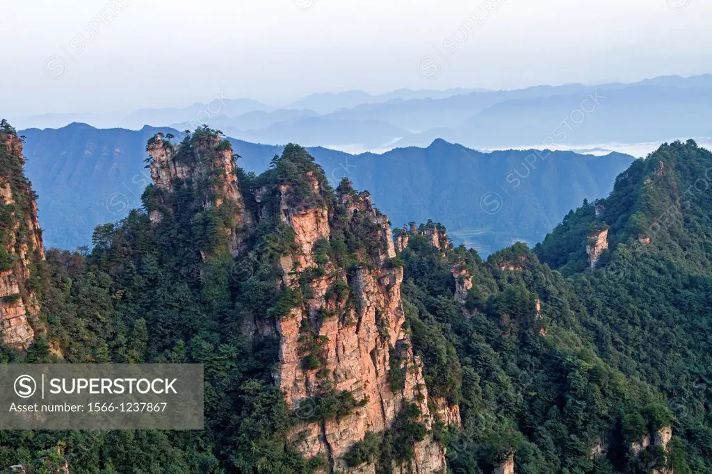 China, Hunan Province, Zhangjiajie National Forest Park UNESCO World Heritage Site, Tianzi Mountains, morning