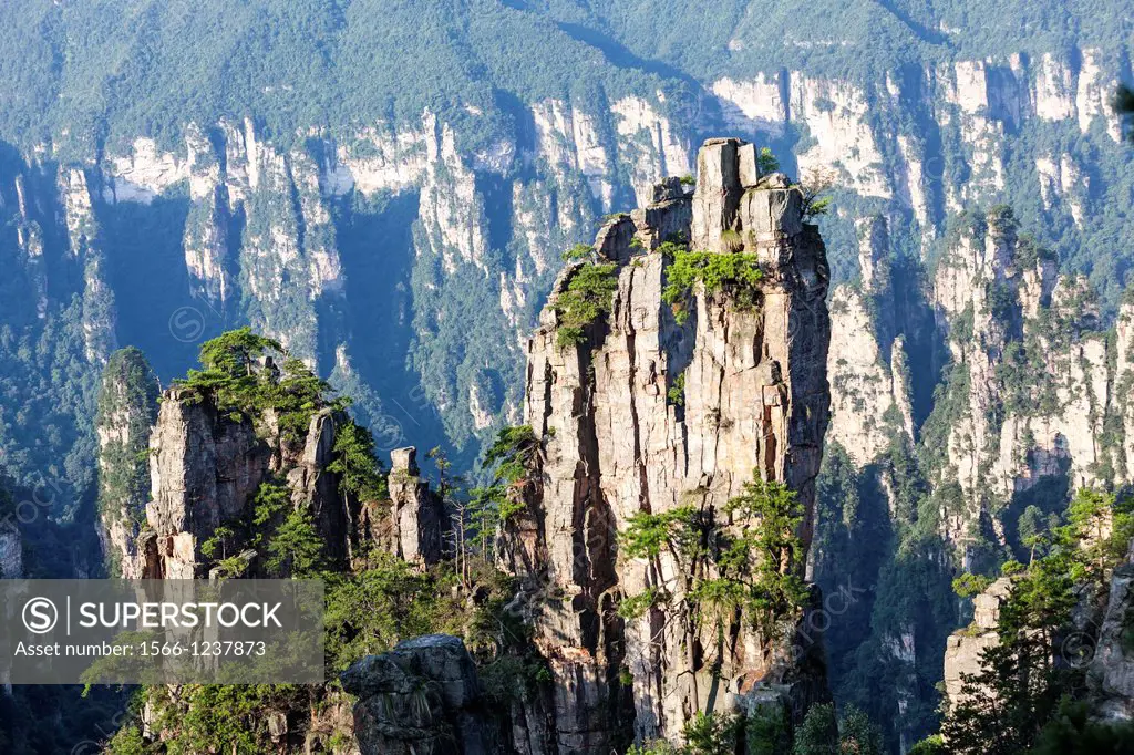China, Hunan Province, Zhangjiajie National Forest Park UNESCO World Heritage Site, Tianzi Mountains