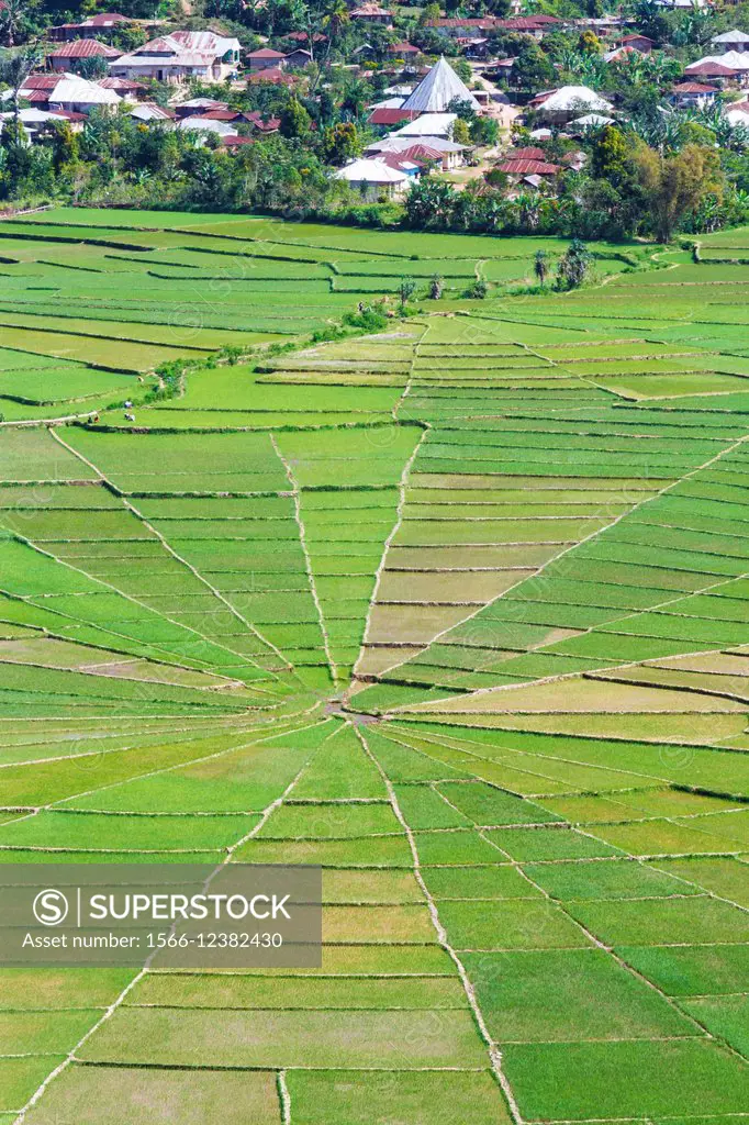 Lingko Spider web rice fields. Ruteng. Flores island. Indonesia, Asia.