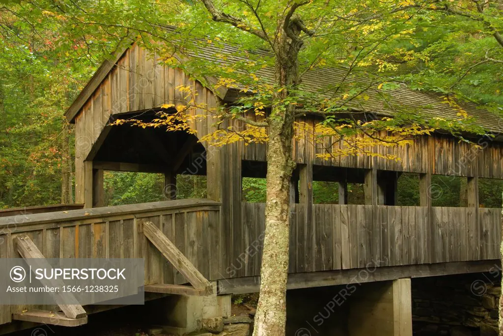 Covered Bridge, Devils Hopyard State Park, Connecticut