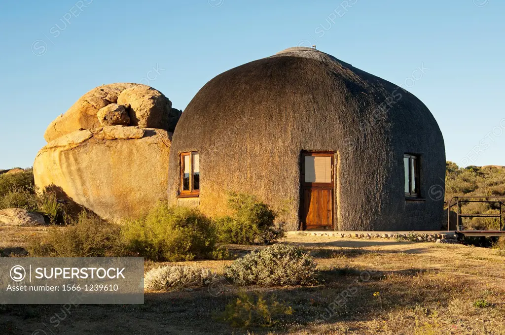 Namakwa Mountain Suite in the morning light, oversized thatched, dome-shaped accommodation resembling the traditional huts of the local Nama tribe, Na...
