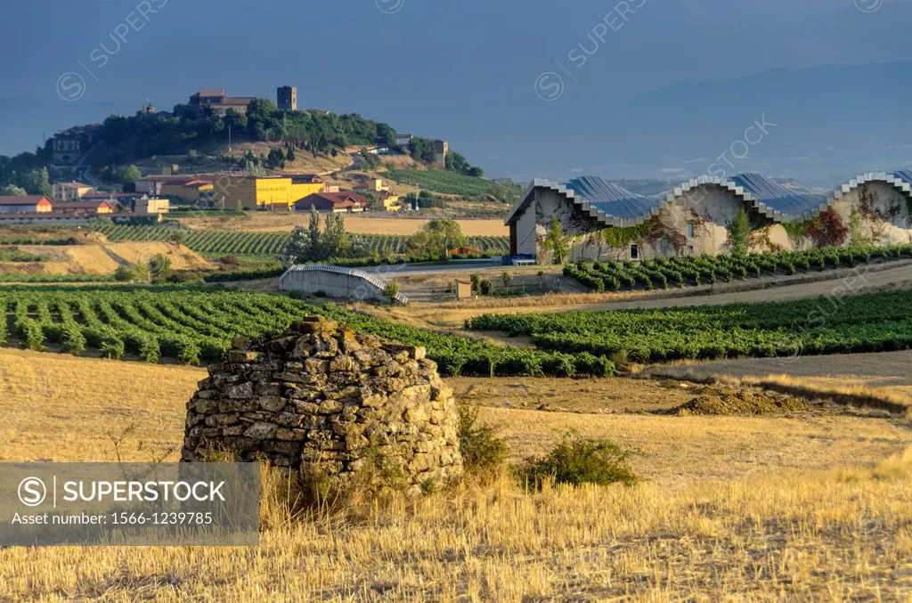 Vineyard views of Laguardia, La Rioja, Spain