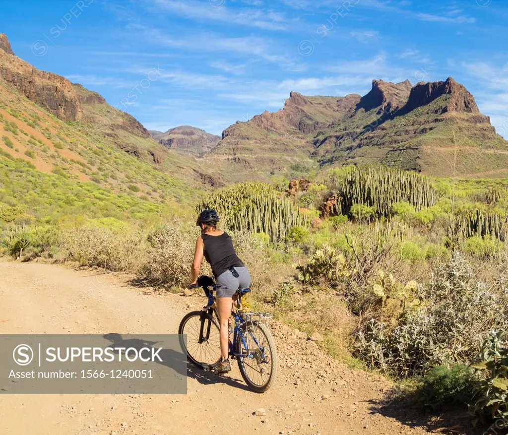 Woman mountain biking in area known locally as Grand Canyon on Gran Canaria, Canary Islands, Spain