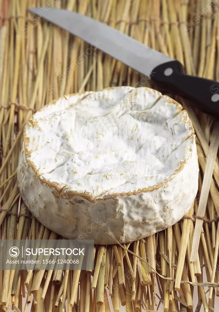 Camembert, French Cheese produced in Normandy from Cow´s Milk