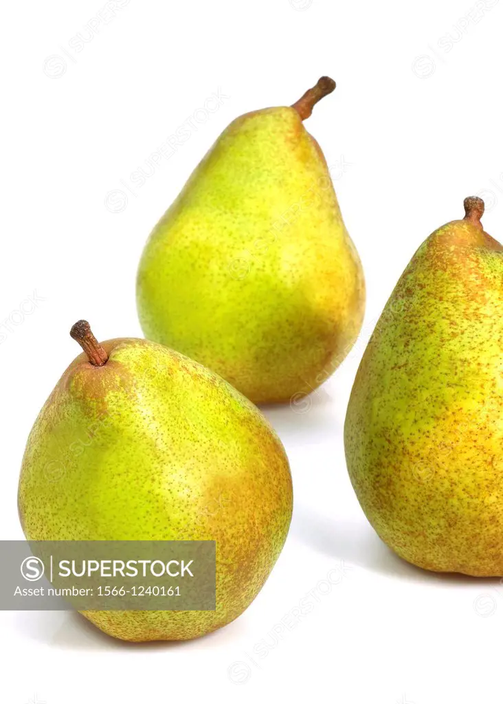 Comice Pear, pyrus communis, Fruits against White Background