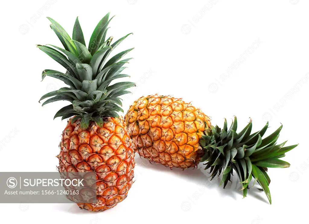 Pineapple, ananas comosus, Fruits against White Background
