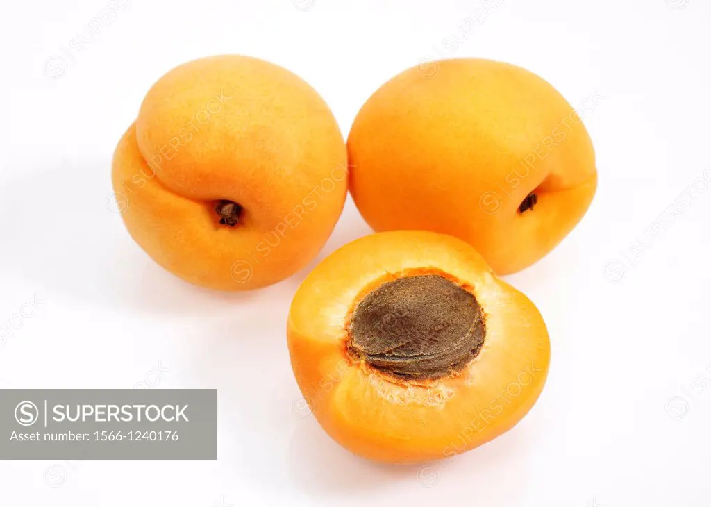 Apricot, prunus armeniaca, Fruits against White Background