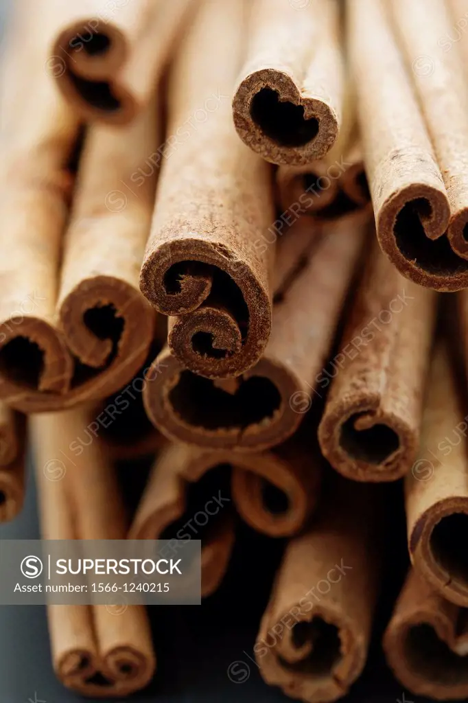 cinnamon sticks - Cinnamomum cassia