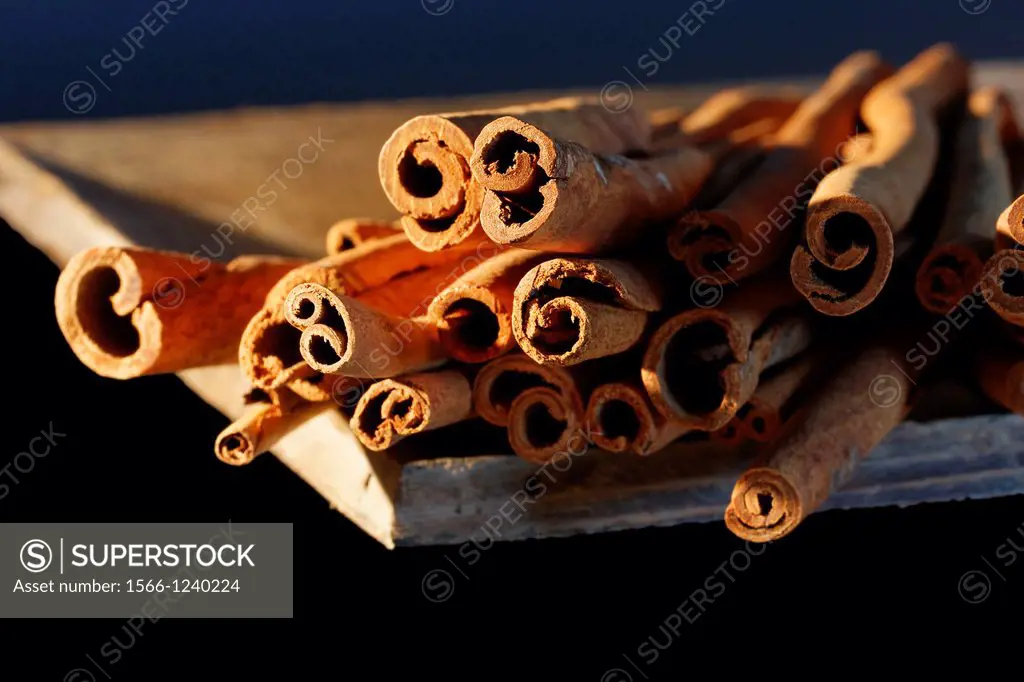 cinnamon sticks in wooden bowl - Cinnamomum cassia