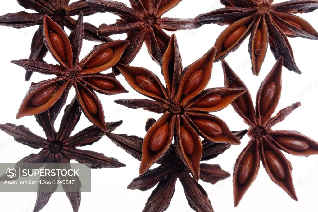 clip image - fruits of star anise - Illicium verum