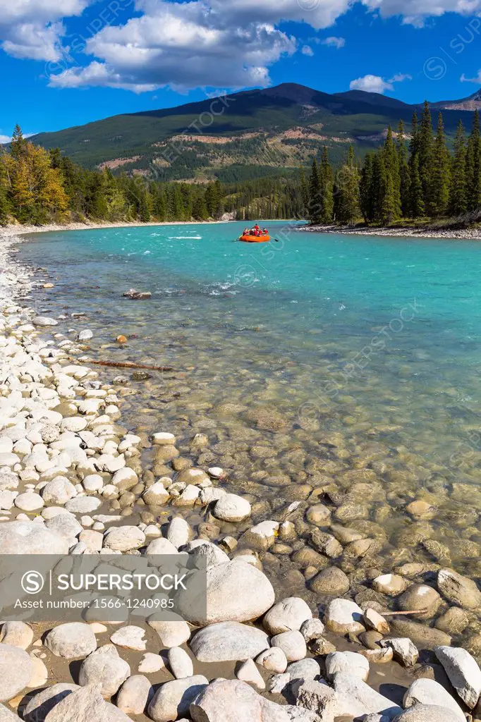 Athabasca River and mountain range in the background, Jasper National Park, Alberta, Canada