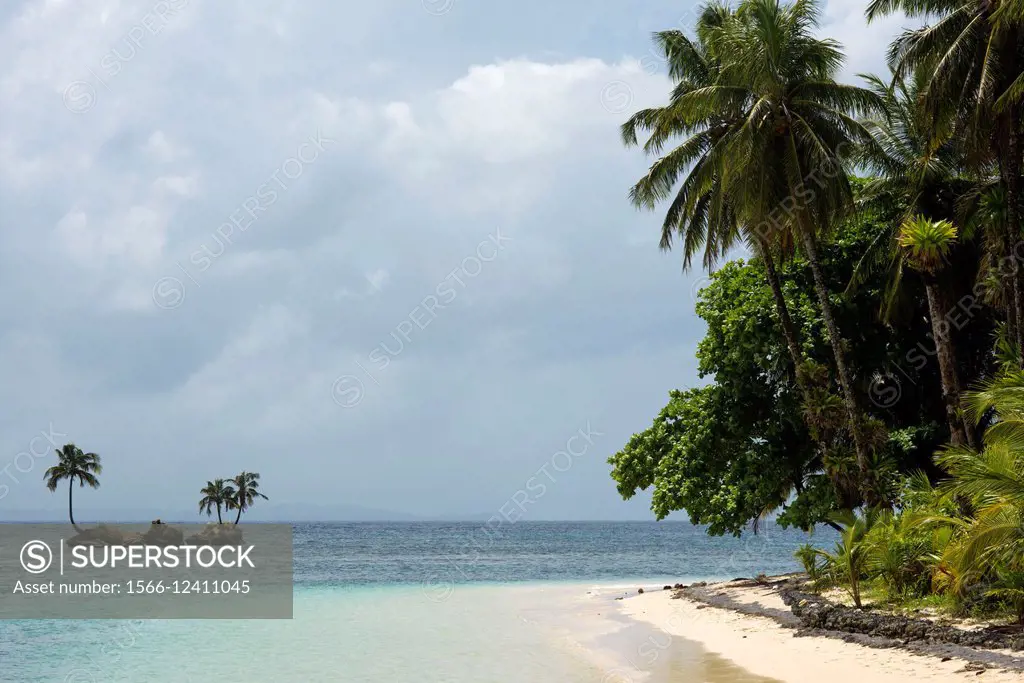 Island beach taken from the water surface with lush tropical vegetation, Bocas del Toro, Caribbean sea, Zapatillas Keys, Panama. Tropical beach island...