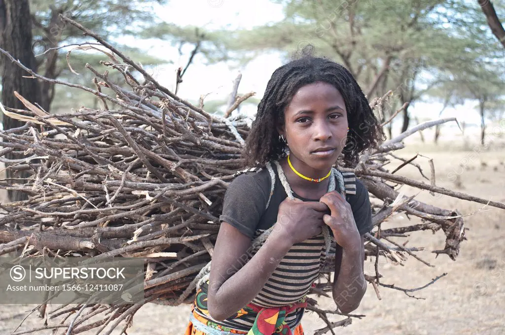 Girl belonging to the Kereyu tribe coming from fetching firewood ( Ethiopia).
