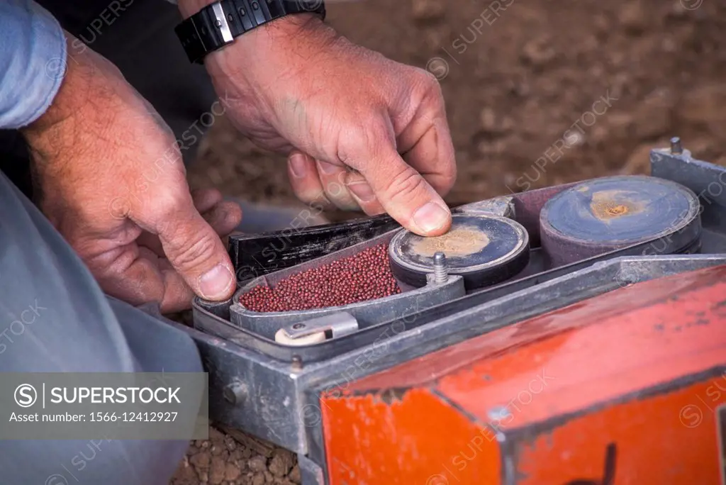 Man working on seeder with seeds.