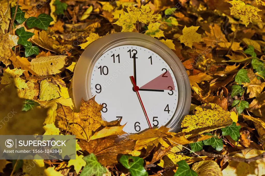 A wall clock lies in colorful leaves. The clock stands on three clock The dial has a red marker between two and three. On the last weekend in October,...
